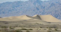 dunes